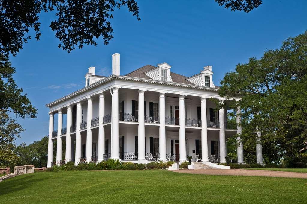 Dunleith Historic Inn Натчез Екстер'єр фото