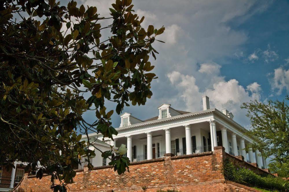 Dunleith Historic Inn Натчез Екстер'єр фото