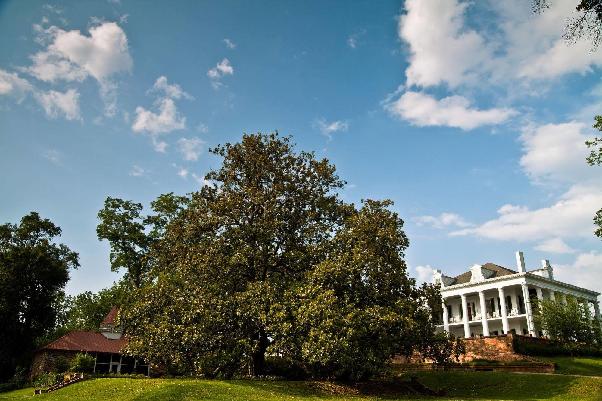 Dunleith Historic Inn Натчез Екстер'єр фото